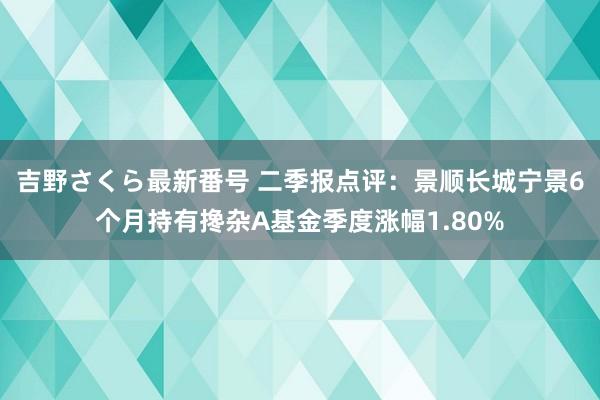 吉野さくら最新番号 二季报点评：景顺长城宁景6个月持有搀杂A基金季度涨幅1.80%