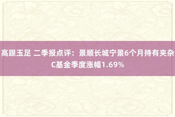 高跟玉足 二季报点评：景顺长城宁景6个月持有夹杂C基金季度涨幅1.69%