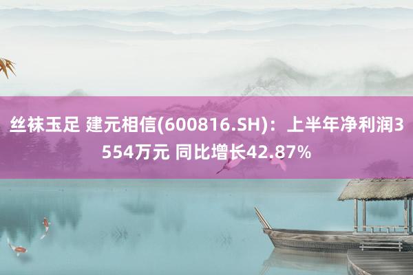 丝袜玉足 建元相信(600816.SH):上半年净利润3554万元 同比增长42.87%