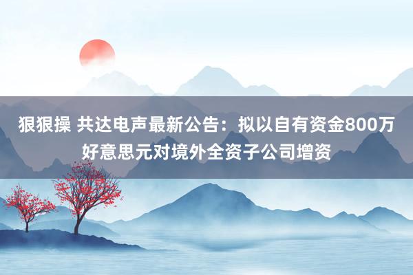 狠狠操 共达电声最新公告:拟以自有资金800万好意思元对境外全资子公司增资