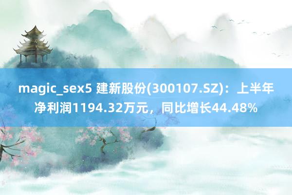 magic_sex5 建新股份(300107.SZ):上半年净利润1194.32万元,同比增长44.48%