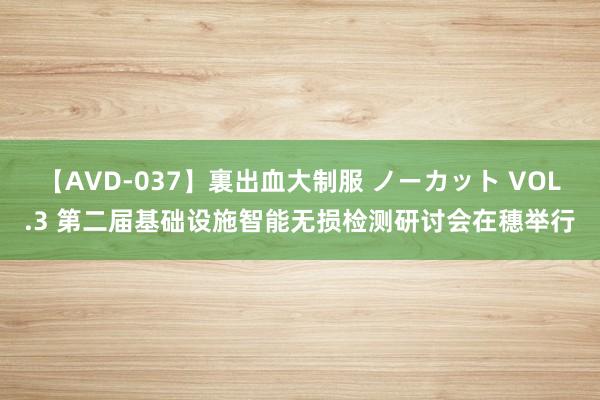 【AVD-037】裏出血大制服 ノーカット VOL.3 第二届基础设施智能无损检测研讨会在穗举行