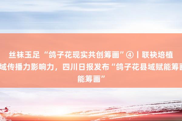 丝袜玉足 “鸽子花现实共创筹画”④丨联袂培植县域传播力影响力，四川日报发布“鸽子花县域赋能筹画”