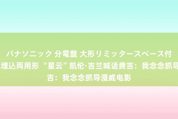 パナソニック 分電盤 大形リミッタースペース付 露出・半埋込両用形 “星云”凯伦·吉兰喊话费吉：我念念抓导漫威电影