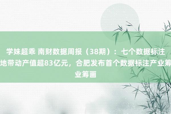 学妹超乖 南财数据周报（38期）：七个数据标注基地带动产值超83亿元，合肥发布首个数据标注产业筹画
