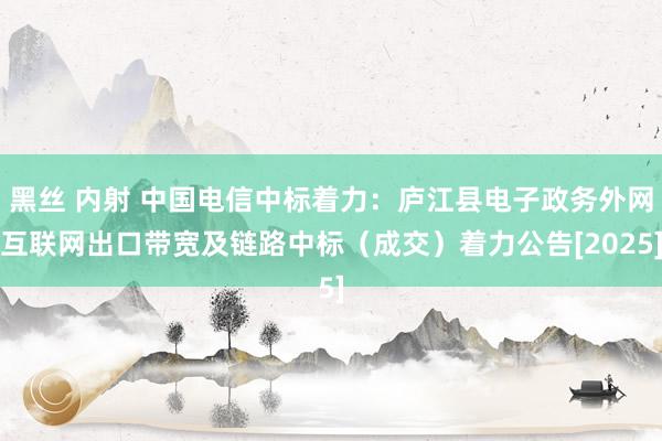 黑丝 内射 中国电信中标着力：庐江县电子政务外网互联网出口带宽及链路中标（成交）着力公告[2025]