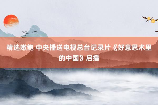 精选嫩鲍 中央播送电视总台记录片《好意思术里的中国》启播