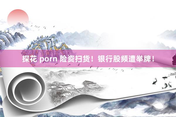 探花 porn 险资扫货！银行股频遭举牌！