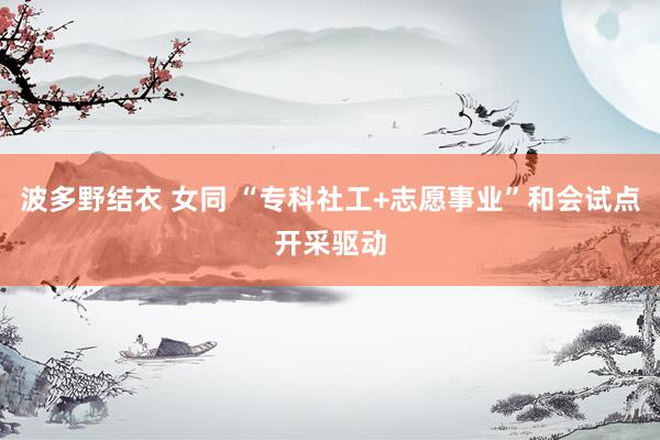 波多野结衣 女同 “专科社工+志愿事业”和会试点开采驱动