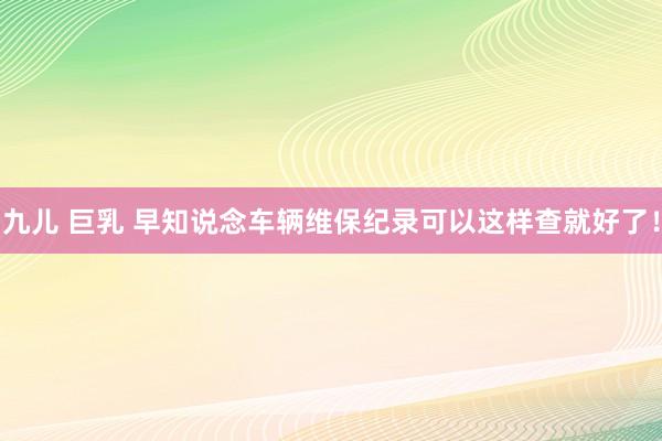 九儿 巨乳 早知说念车辆维保纪录可以这样查就好了！