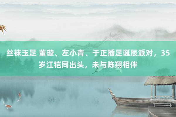 丝袜玉足 董璇、左小青、于正插足诞辰派对，35岁江铠同出头，未与陈翔相伴