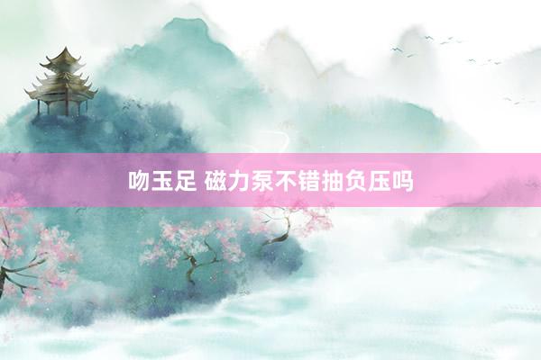 吻玉足 磁力泵不错抽负压吗